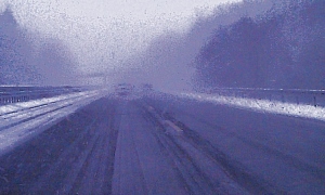 IMAG0905_300
