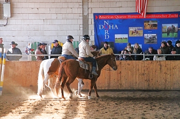 IMG_3893_350