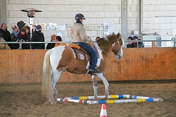 IMG_3903_350