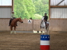 Andreas Aufstellung BarrelRace