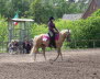 Dnsel_Bild11