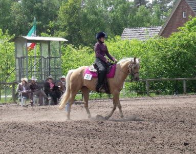Dnsel_Bild11