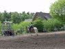 Dnsel_Bild12