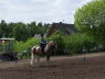Dnsel_Bild13