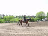 Dnsel_Bild14
