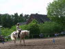 Dnsel_Bild15