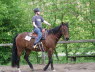 Dnsel_Bild7